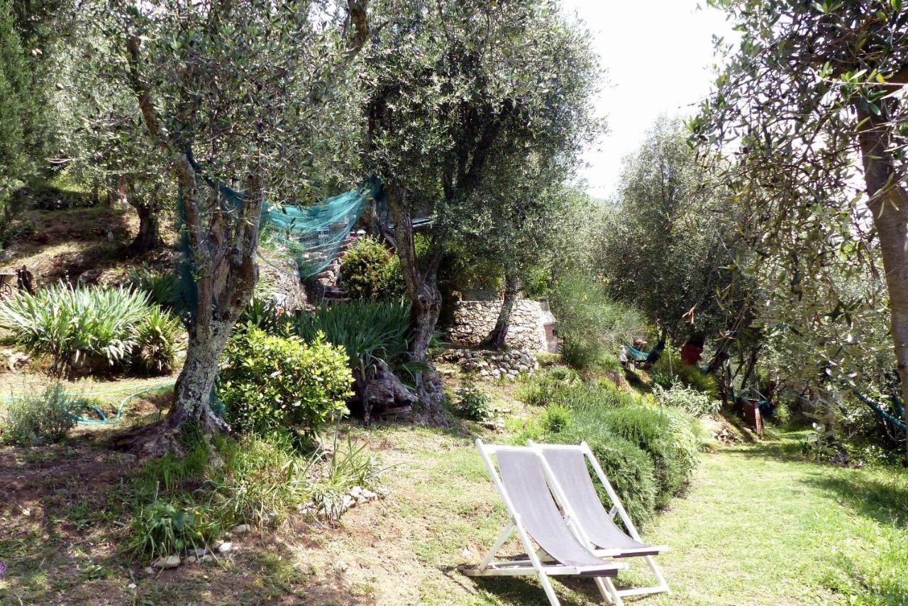 Il Giaggiolo Villa Camaiore Kültér fotó