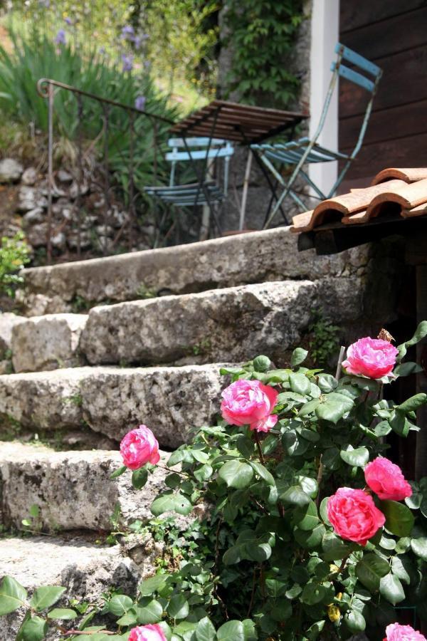Il Giaggiolo Villa Camaiore Kültér fotó