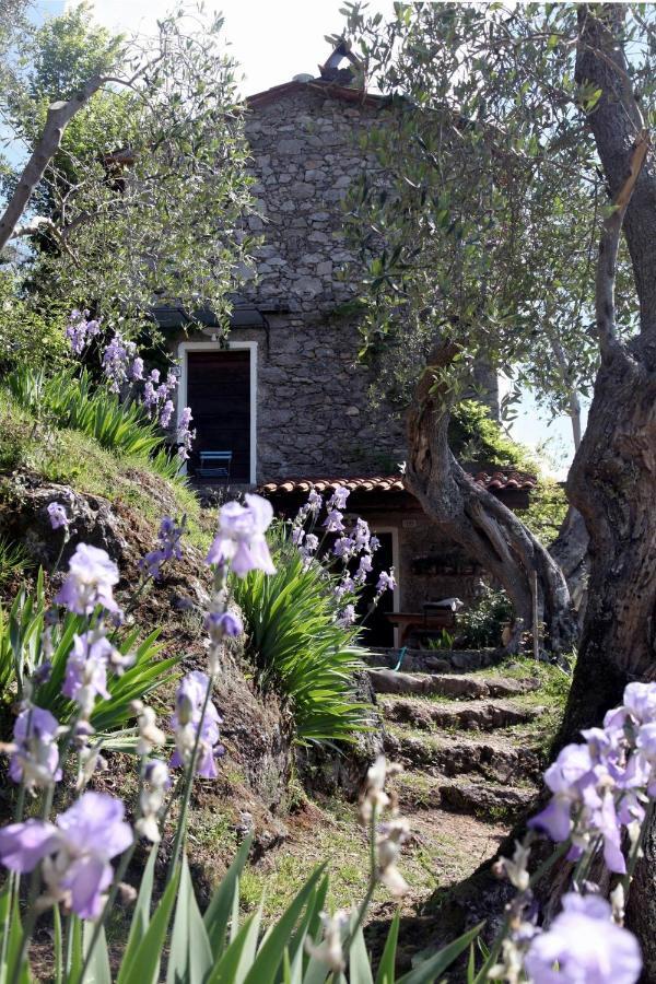 Il Giaggiolo Villa Camaiore Kültér fotó