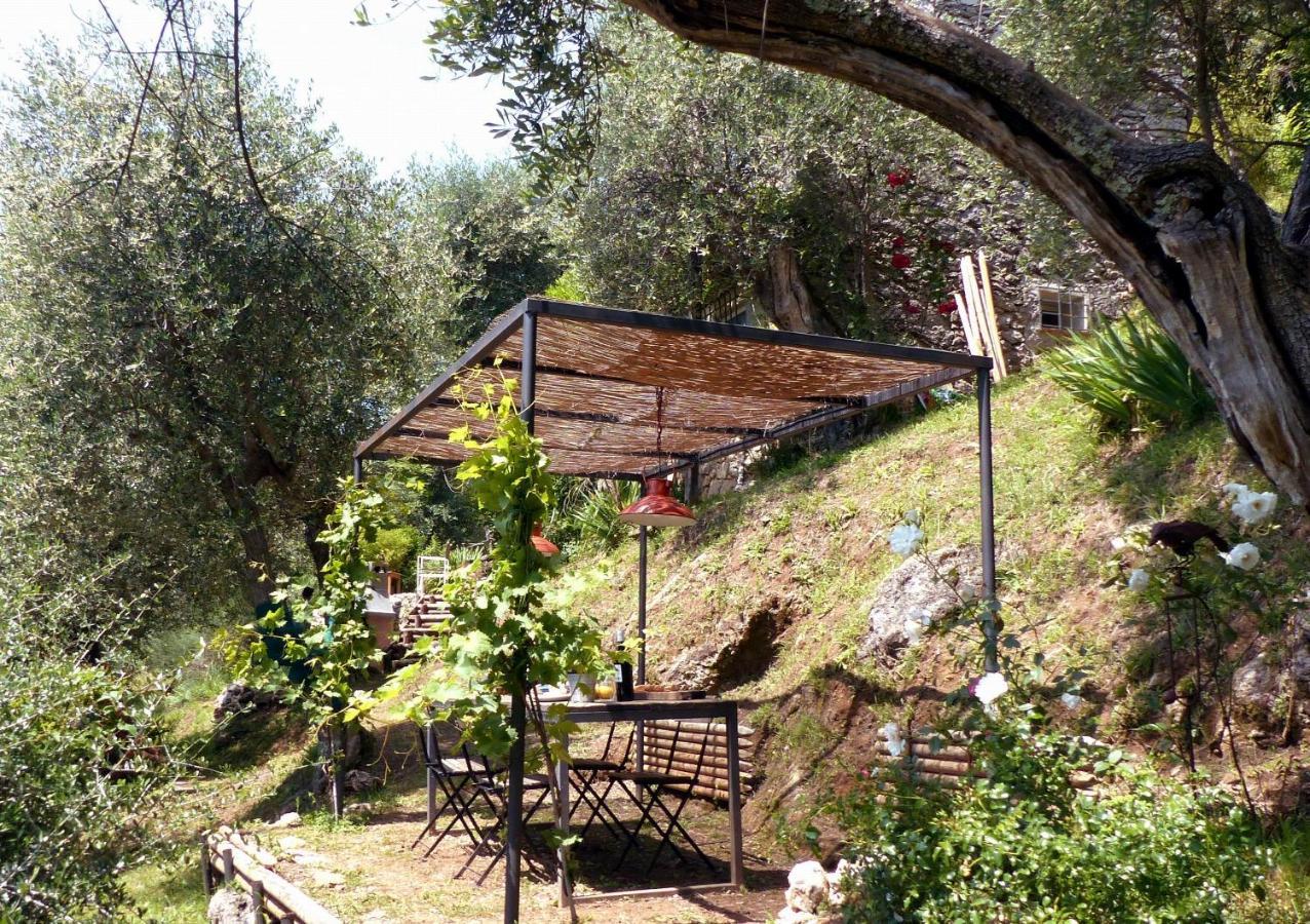 Il Giaggiolo Villa Camaiore Kültér fotó