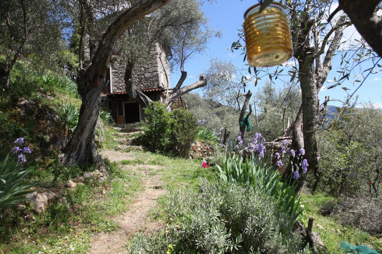 Il Giaggiolo Villa Camaiore Kültér fotó