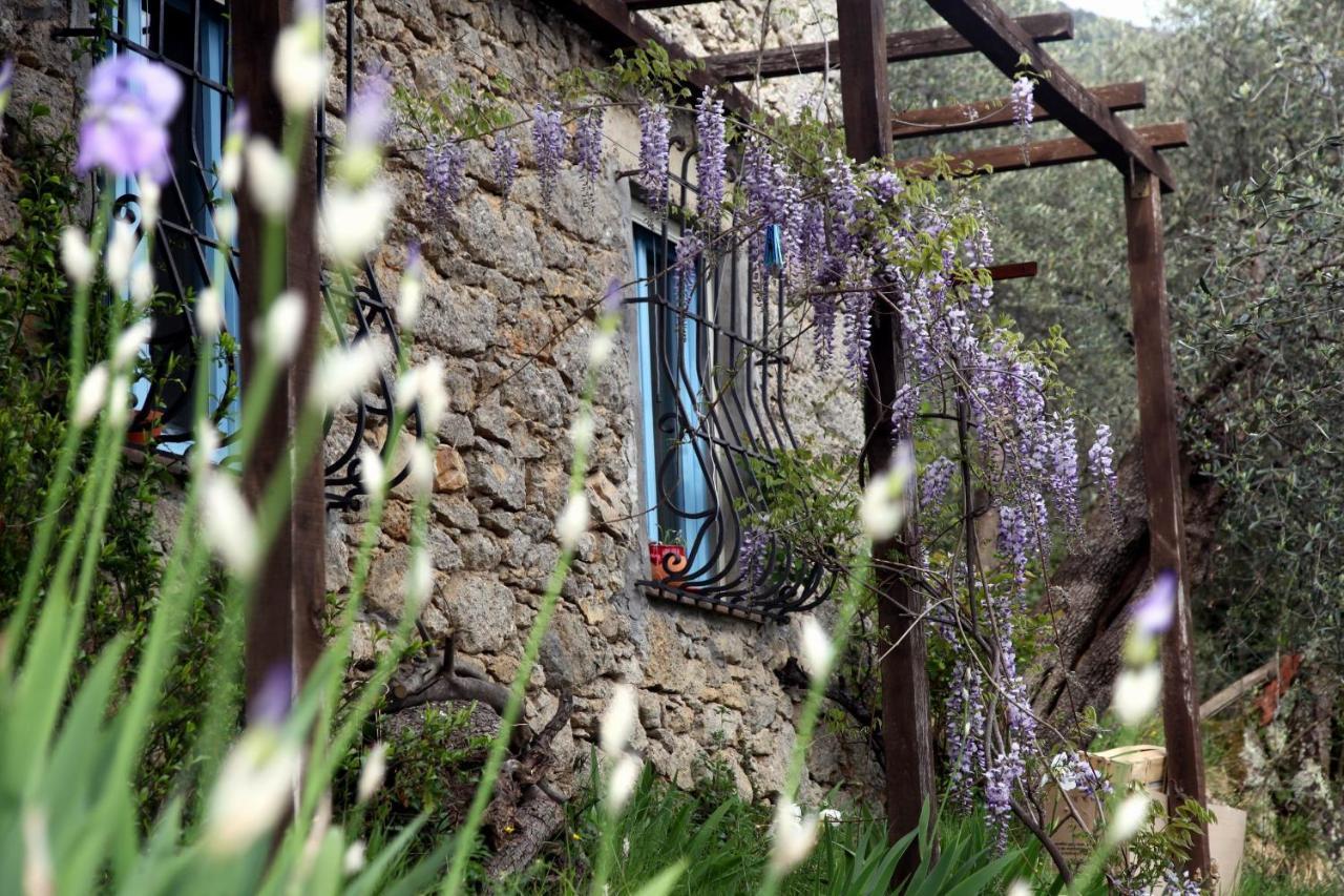 Il Giaggiolo Villa Camaiore Kültér fotó